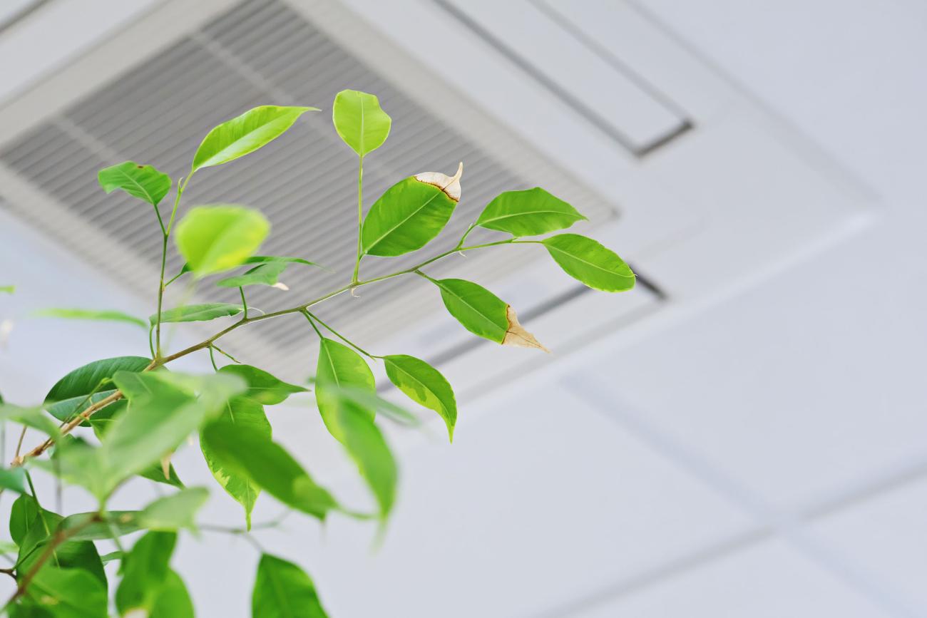 Air filtration and air quality – Ercellfilter